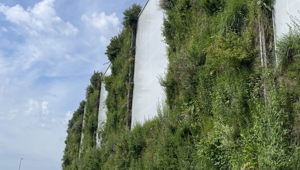 Werkshalle Birkenmaier, Breisach-Niederissmingen